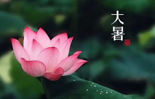 今日大暑：夏正濃，注意養生