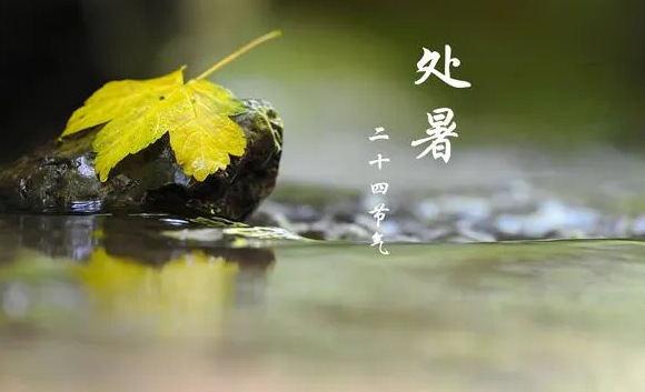 處暑節氣至