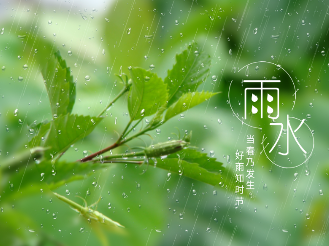 二十四節氣 | 今日雨水